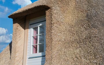 Totnor thatch roof disadvantages