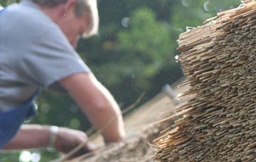 professional Totnor thatchers